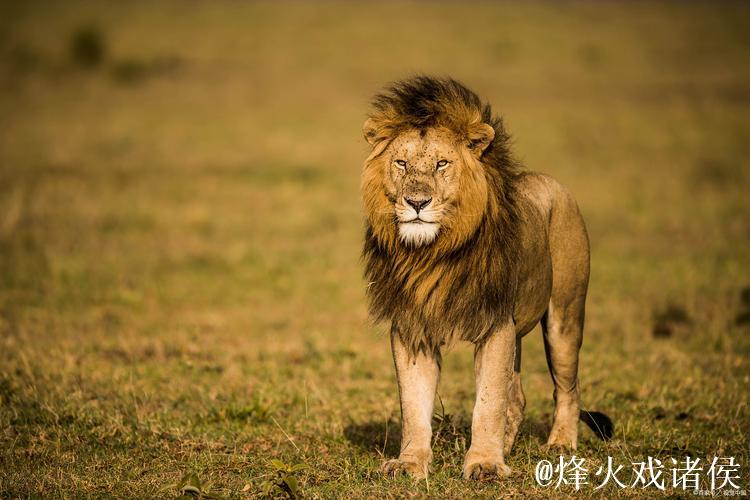 莱默尔：用脚后跟破门让我无比喜悦